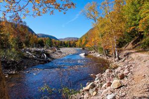 Clyburn Valley,