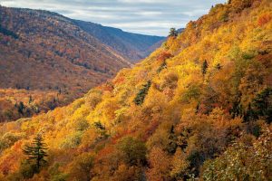 Aspy Valley