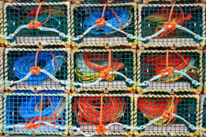 Lobster Traps