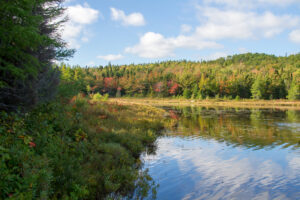 Jigging Cove Lake